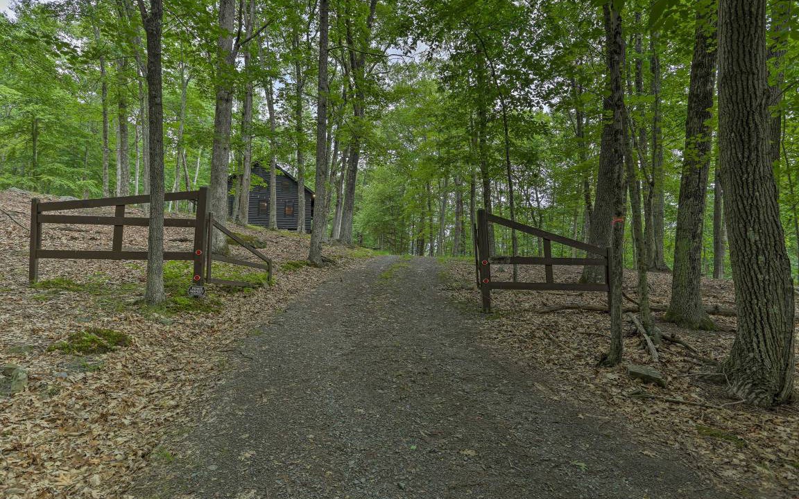 Photo of Others in Lackawaxen