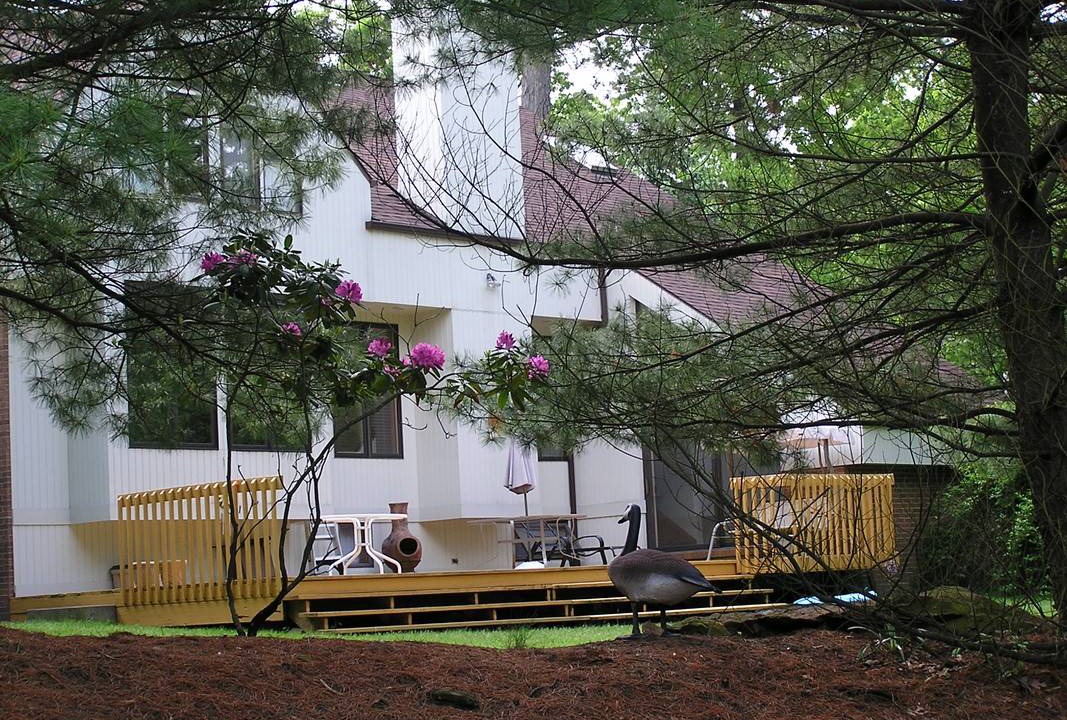 Photo of Others in Gibsonia