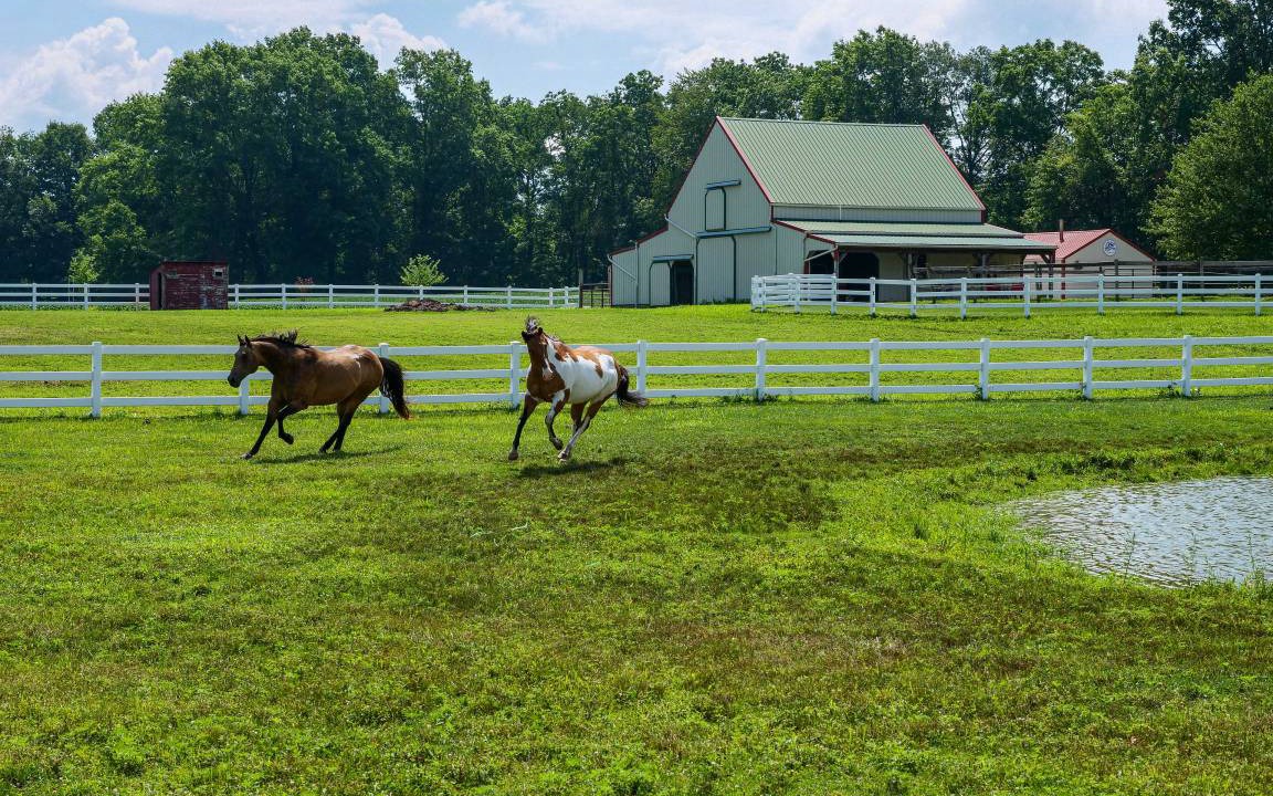 Photo of Others in Perrysville