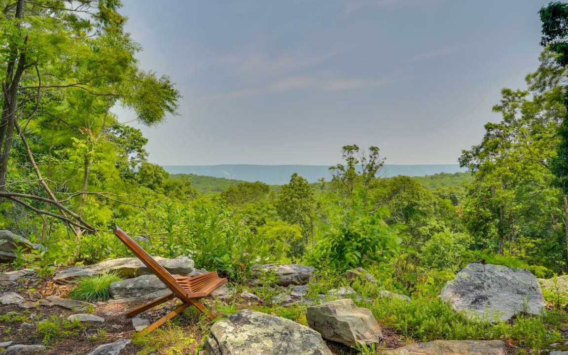 Photo of Others in Great Cacapon
