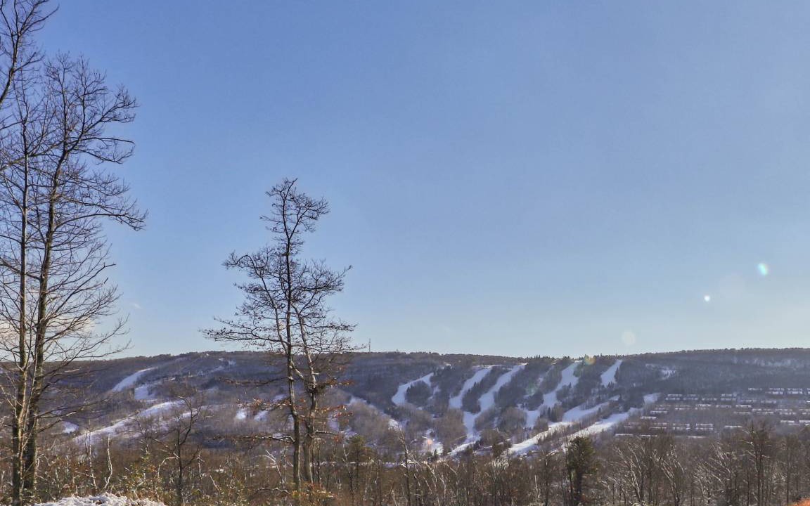Photo of Others in Tannersville