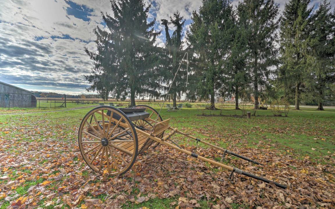 Photo of Others in Cambridge Springs