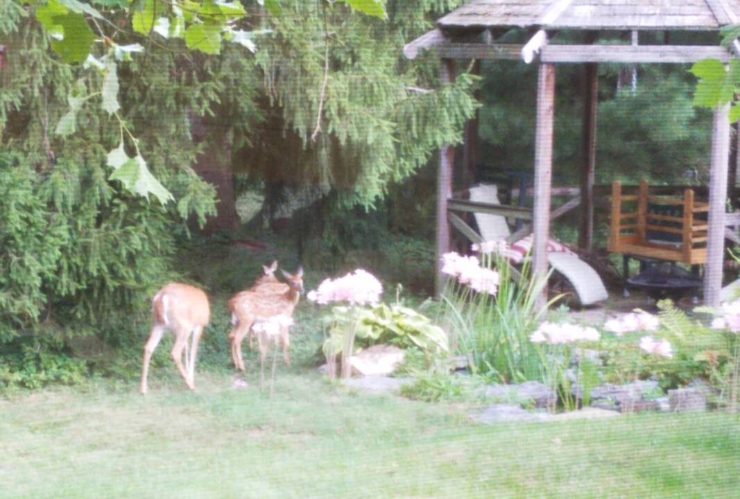 Photo of Others in Lancaster