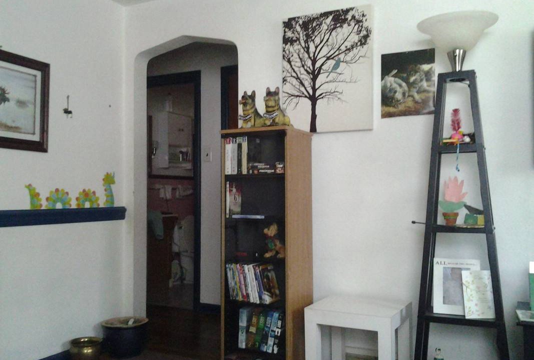 Photo of Others in Green Tree