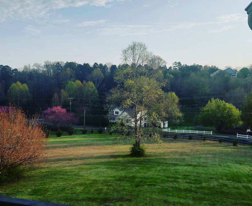 Photo of Others in Ashley Oaks