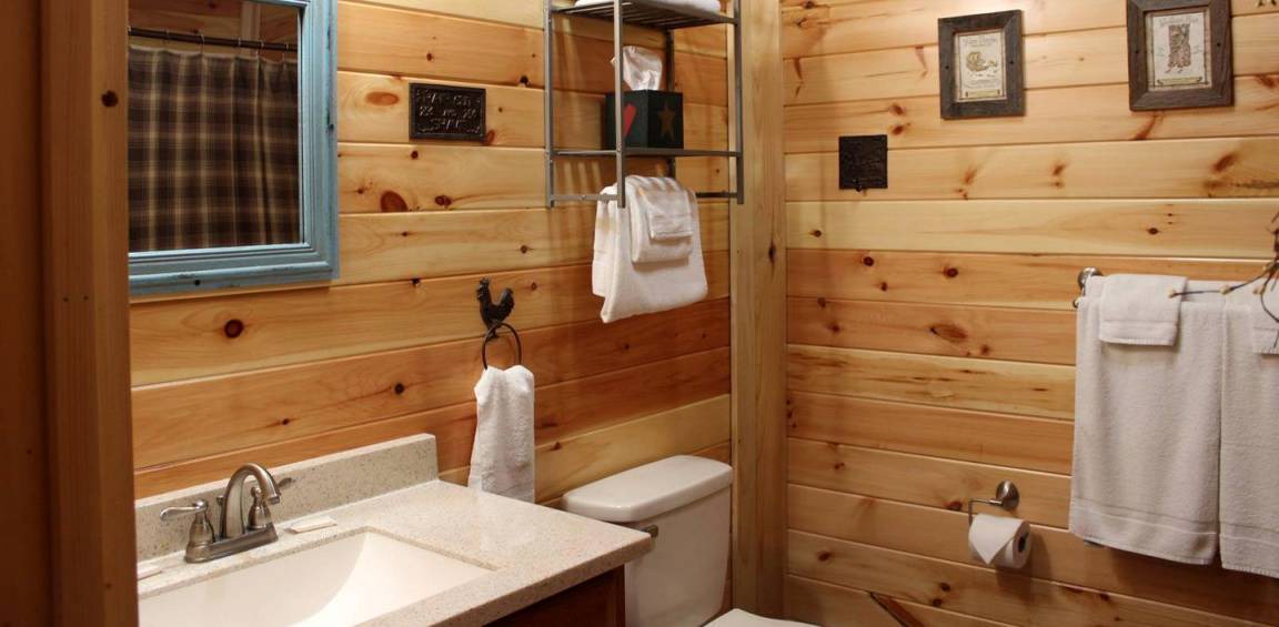 Photo of Bathroom in Flintstone
