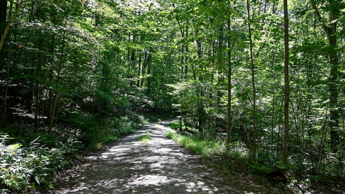 Photo of Others in Laurelville