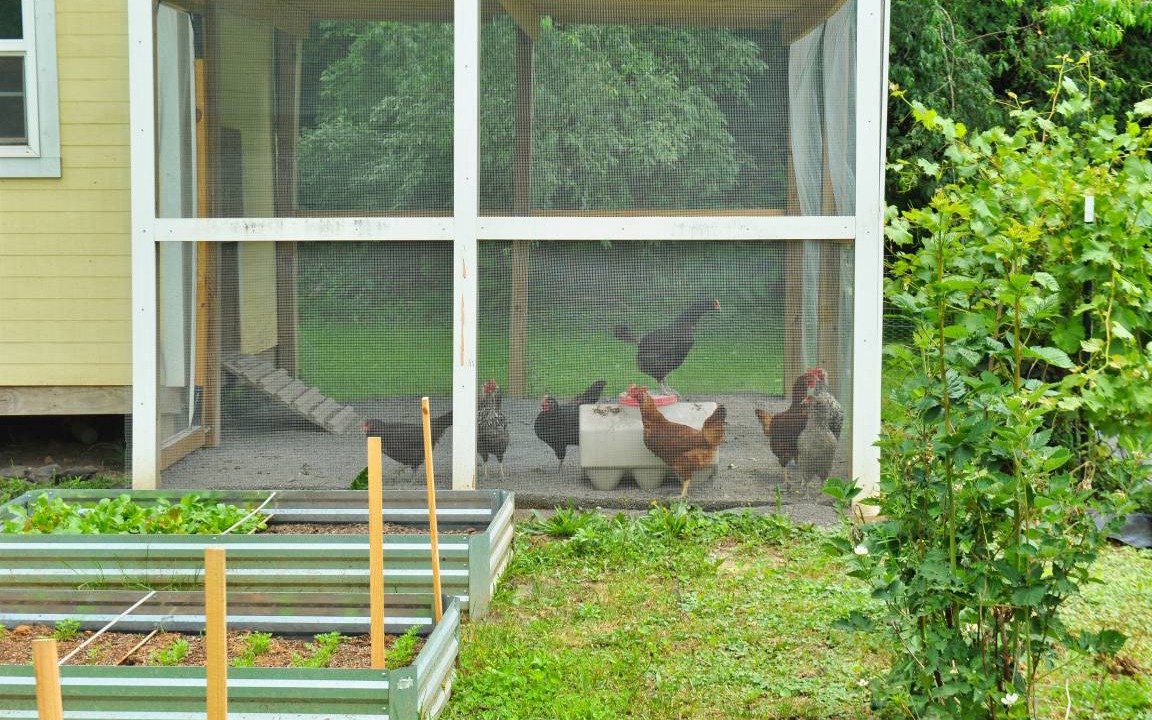 Photo of Others in Sharon
