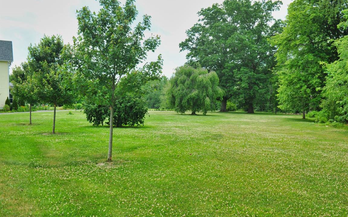 Photo of Others in Sharon