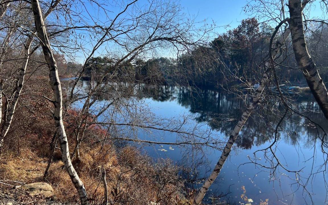 Photo of Others in Long Pond