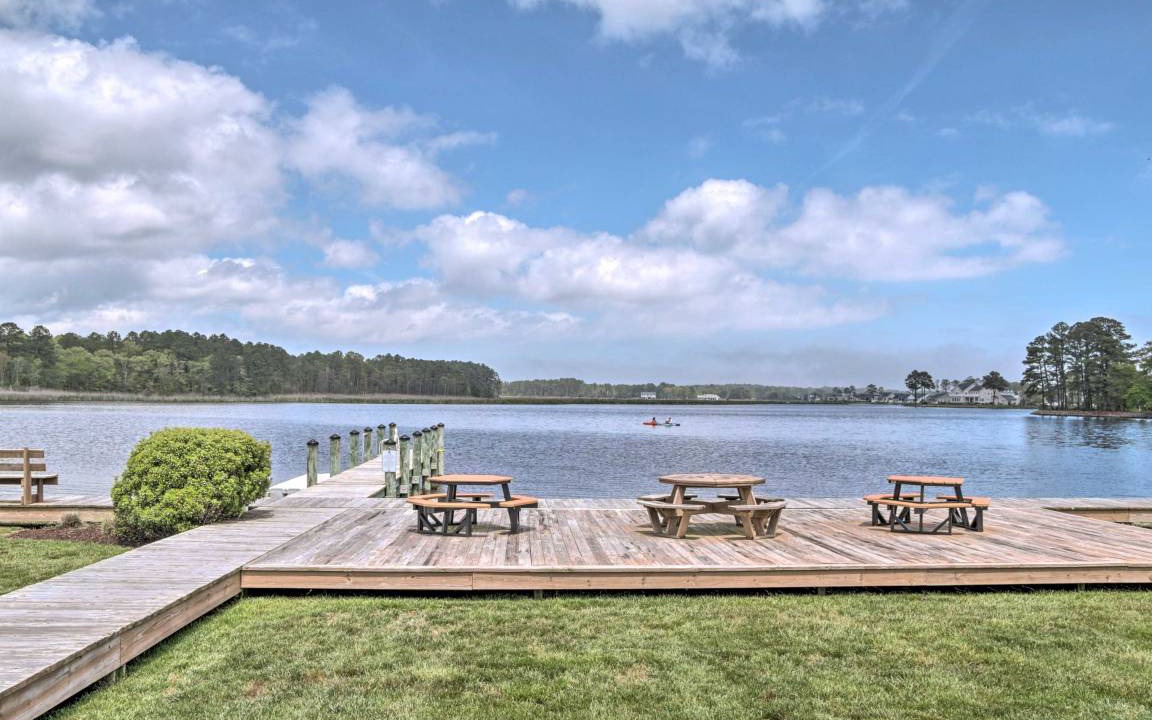 Photo of Others in Swann Cove
