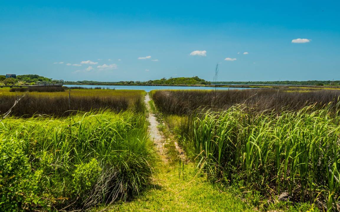 Photo of Outdoor in Ocean City Beach