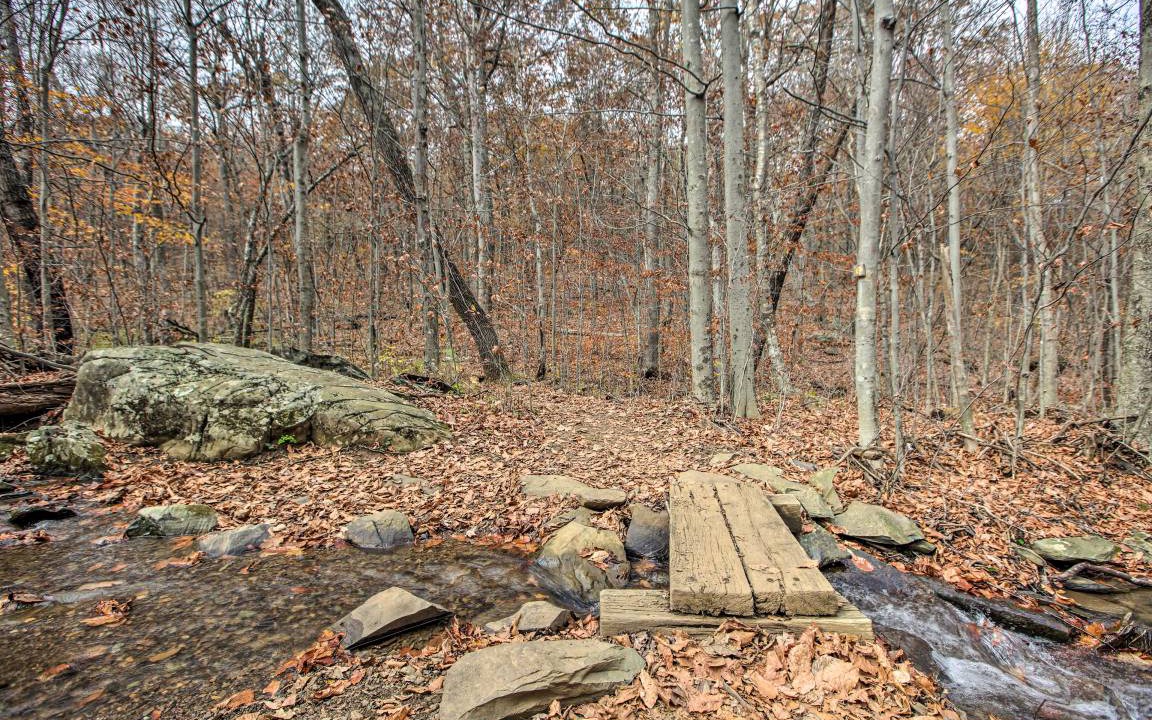 Photo of Others in Chestnut Springs