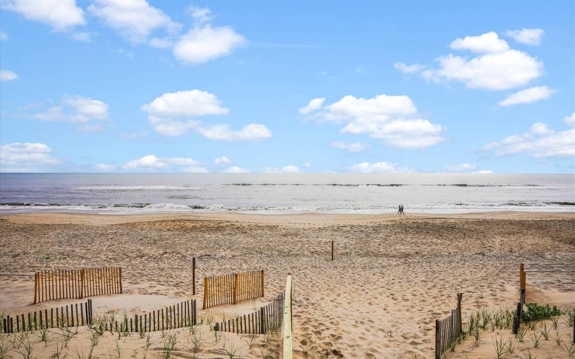 Photo of Others in Carolina Dunes