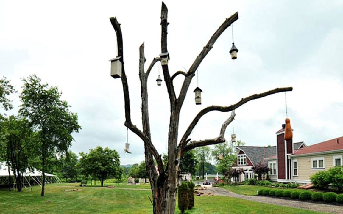 Photo of Others in Ellwood City