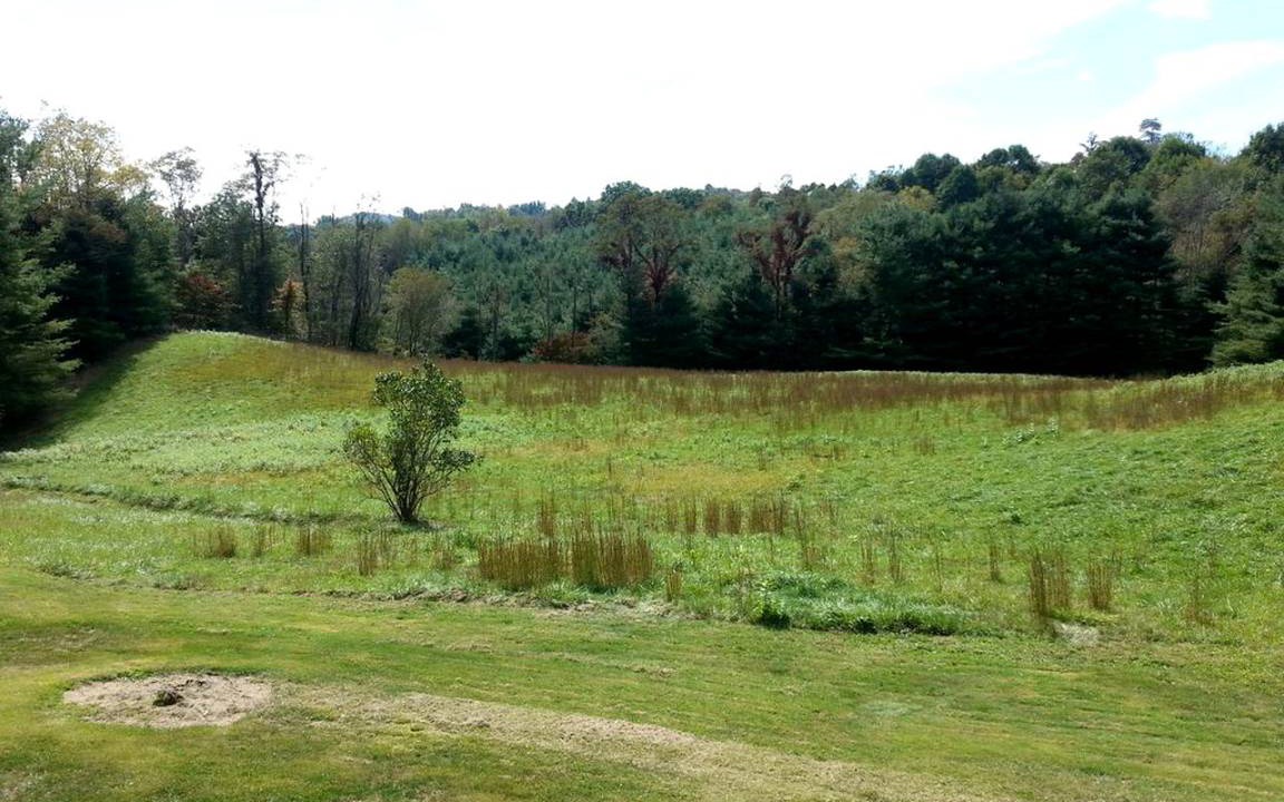 Photo of Others in Wilson Creek