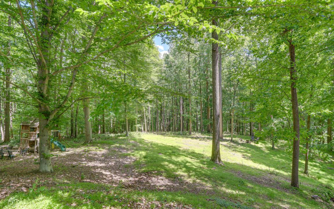 Photo of Outdoor in Long Green