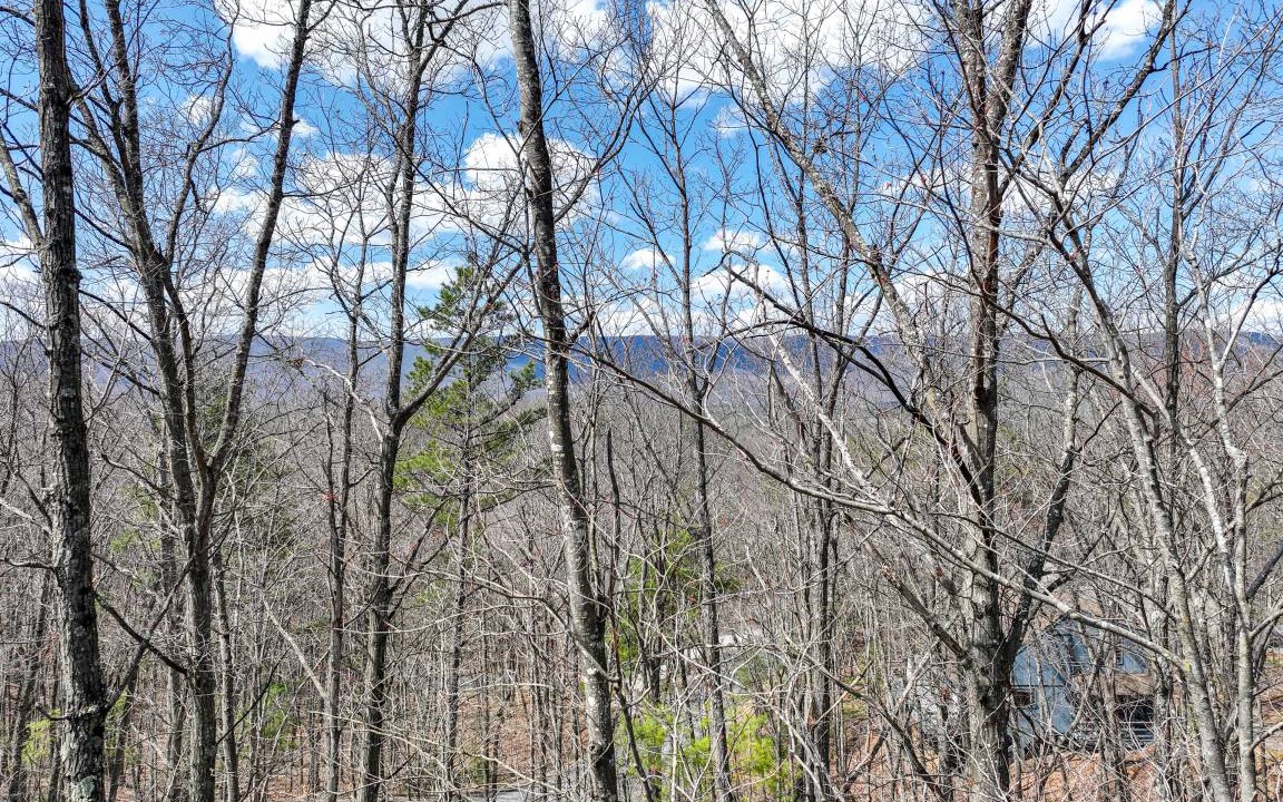 Photo of Others in Mount Jackson