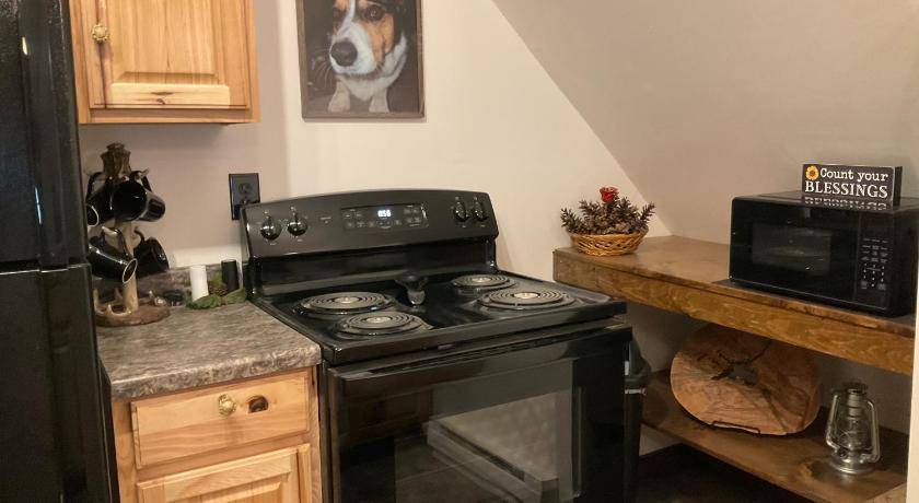 Photo of Kitchen in Large