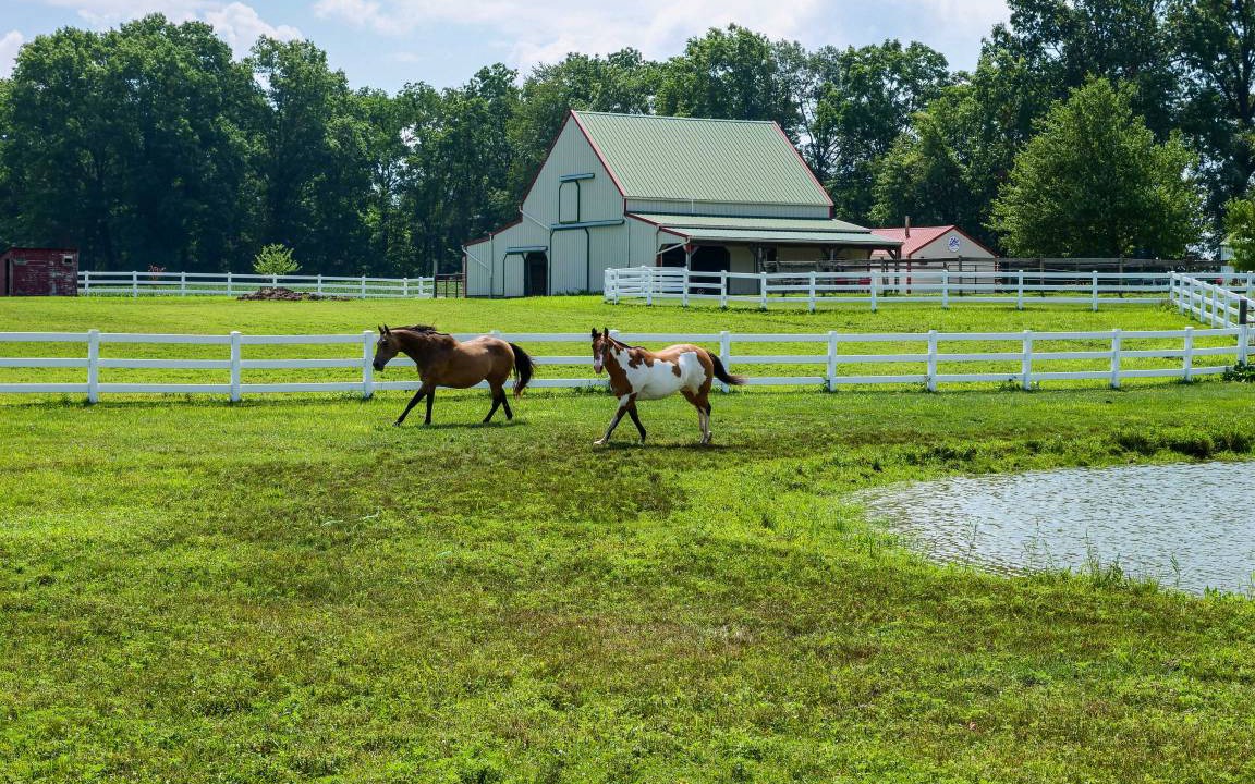 Photo of Others in Perrysville