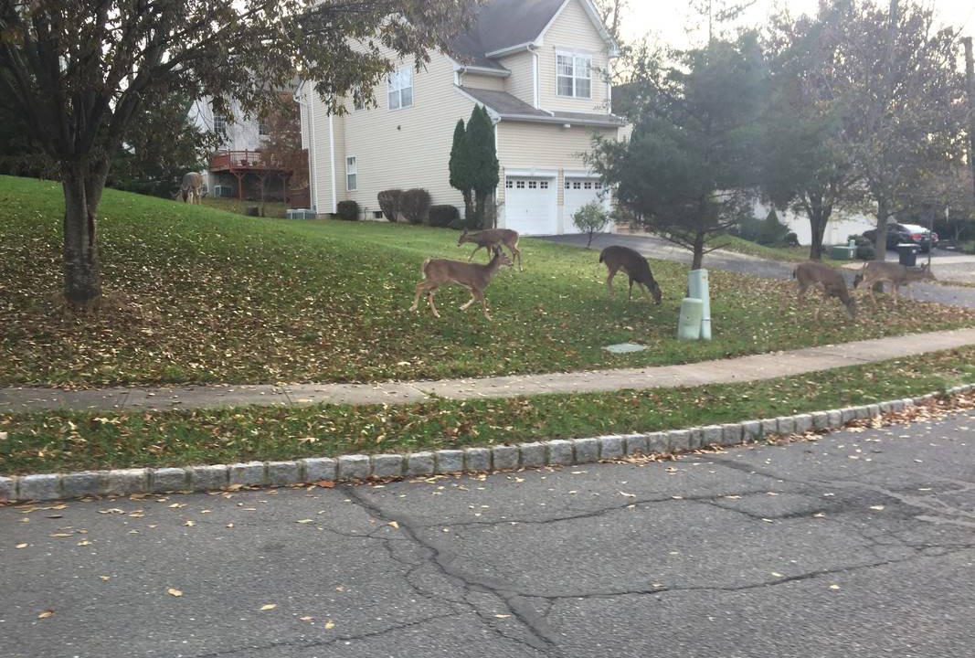 Photo of Others in Bridgewater