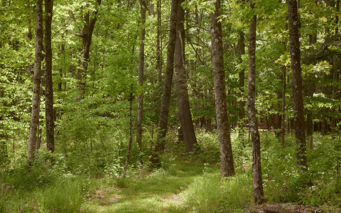 Photo of Others in Pine Bush
