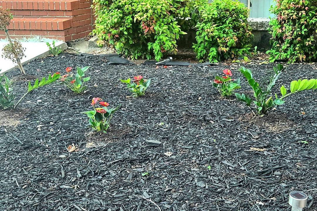 Photo of Outdoor in Rossville