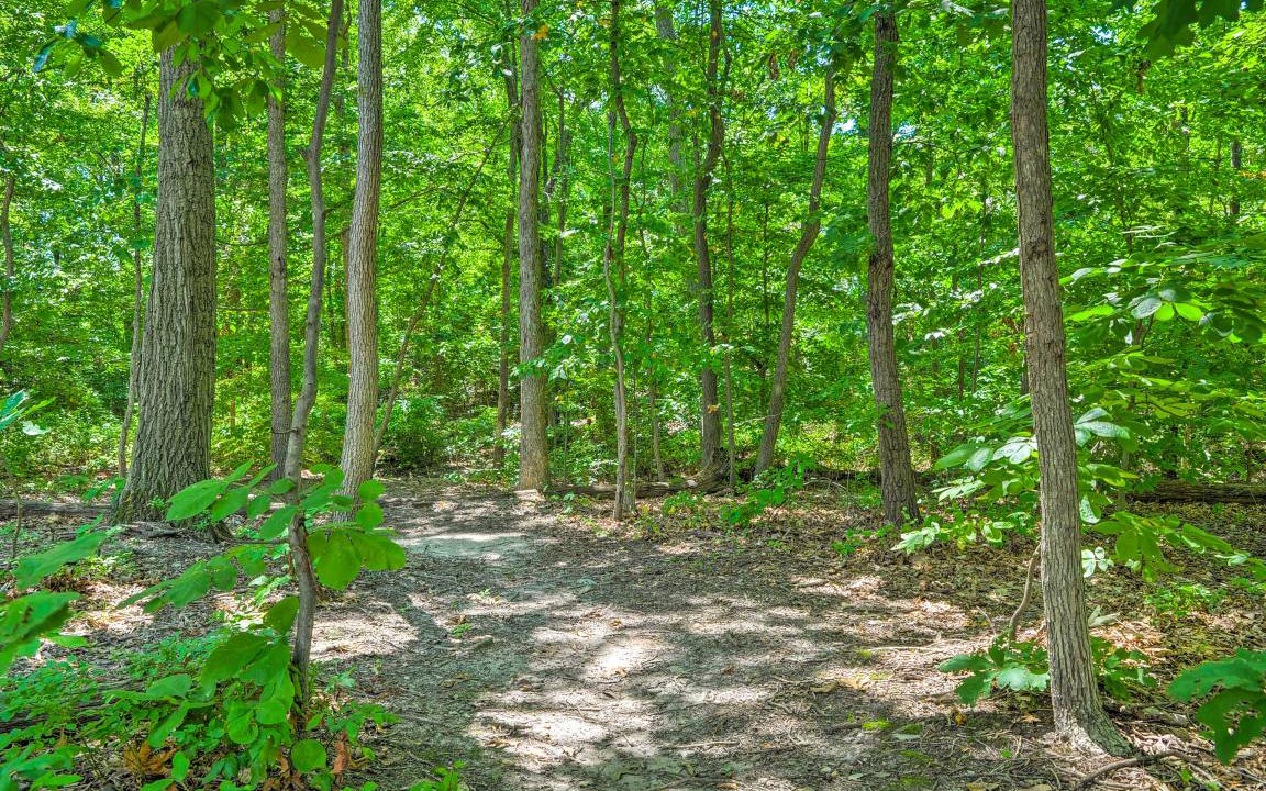 Photo of Outdoor in Elkridge