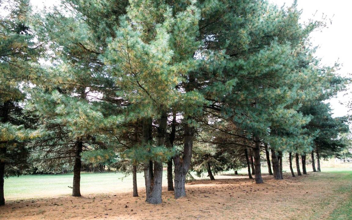 Photo of Outdoor in Holicong