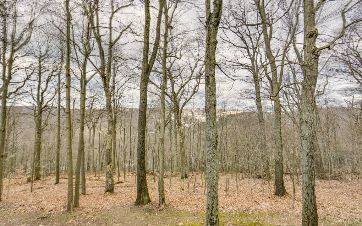 Photo of Others in Seven Springs