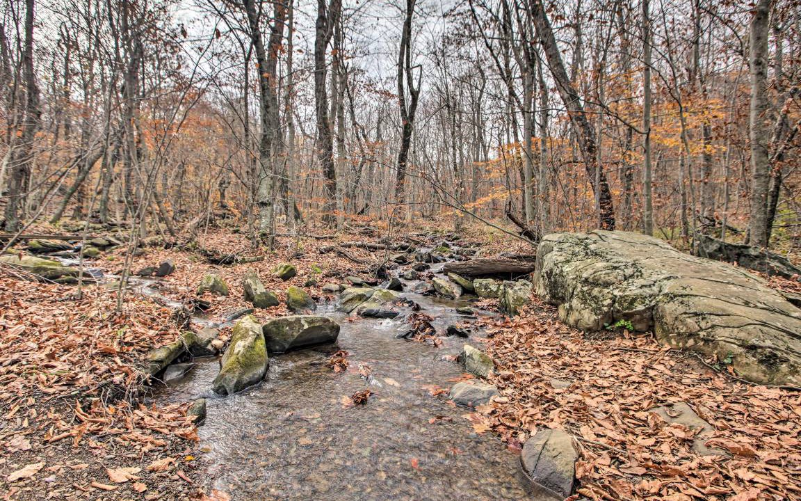 Photo of Others in Chestnut Springs