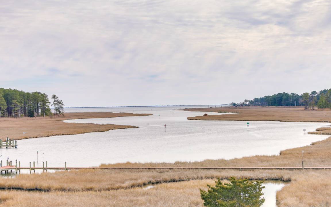 Photo of Others in Rehoboth Beach