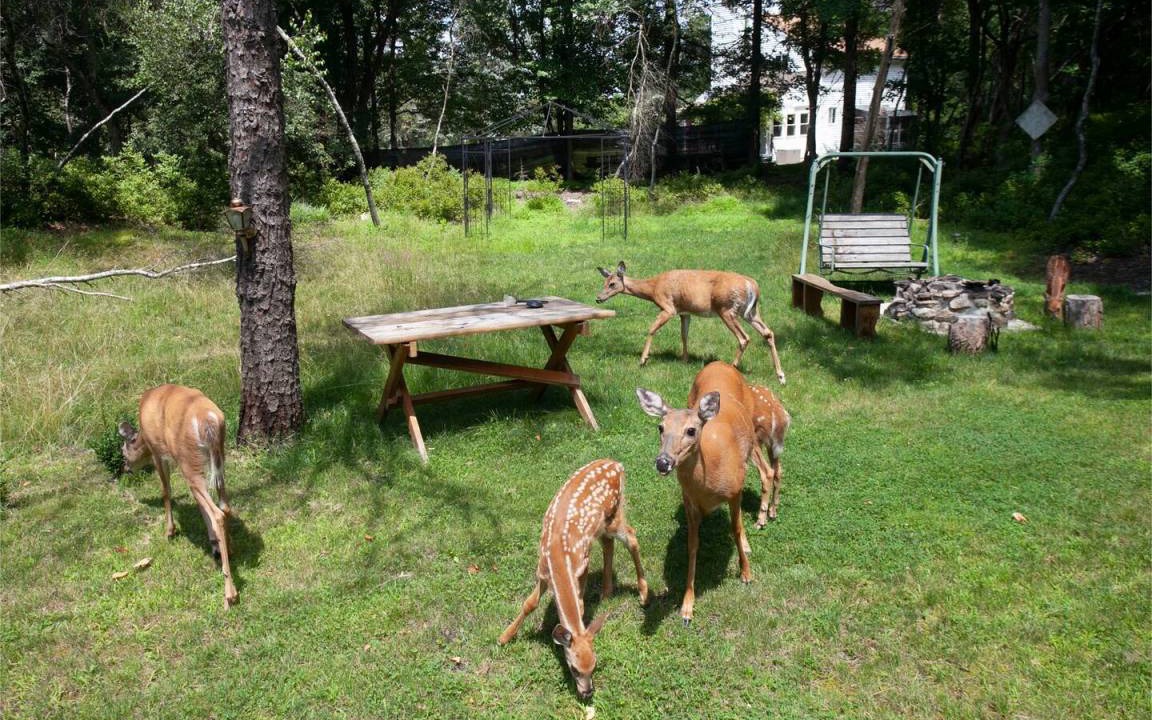 Photo of Others in Long Pond
