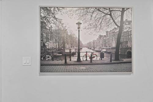 Photo of Others in Bayonne