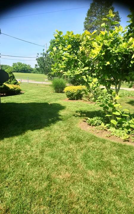 Photo of Outdoor in Trotwood