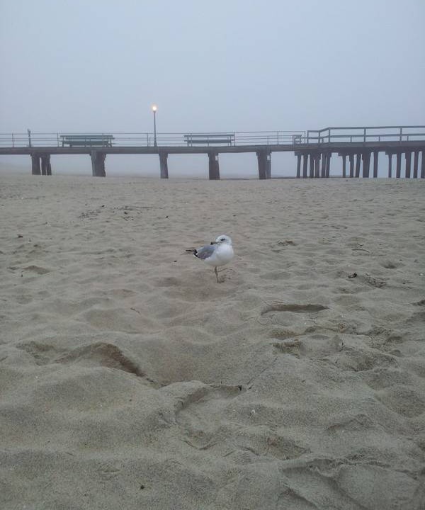 Photo of Others in Bloomfield