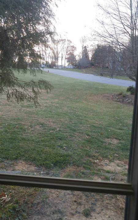 Photo of Others in Sykesville