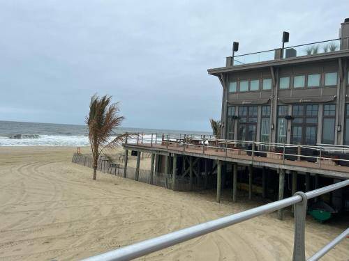 Photo of Others in Long Branch