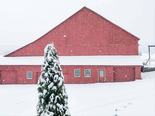 Photo of Others in Swanton