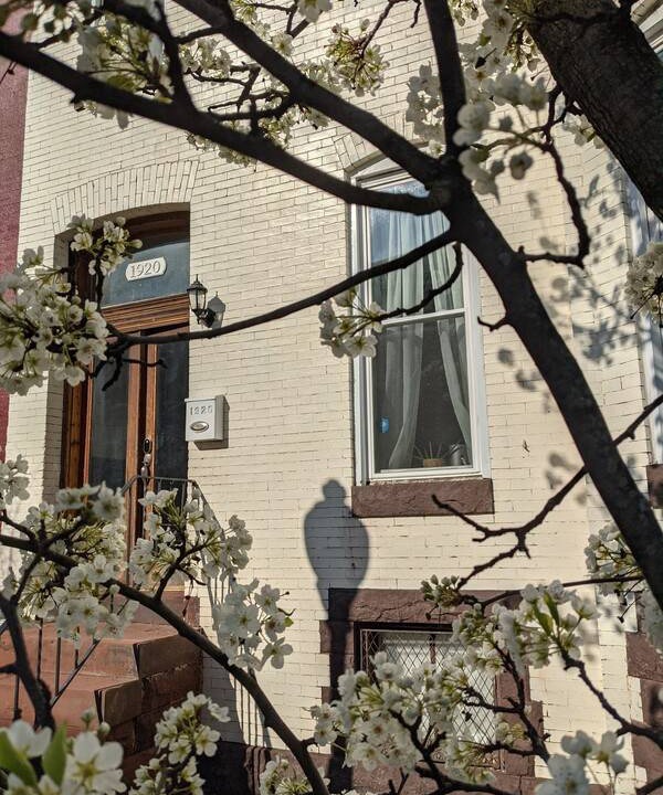 Photo of Others in Downtown Baltimore