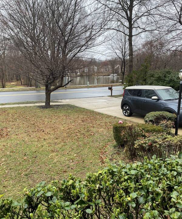 Photo of Others in Bowie