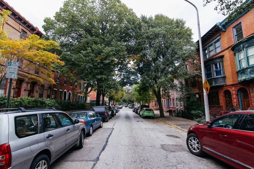 Photo of Others in Spring Garden