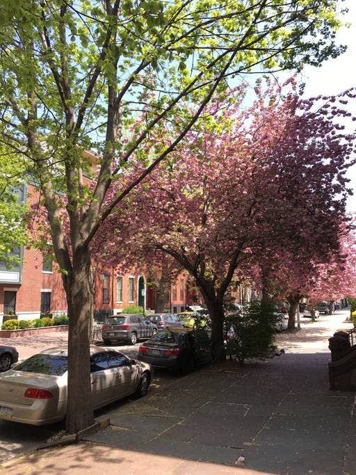 Photo of Buildings in Spring Garden