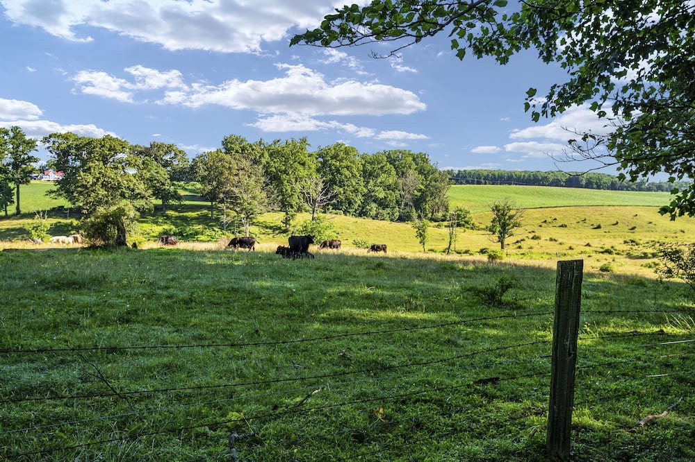 Photo of Outdoor in Baldwin