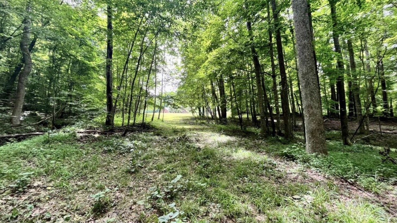 Photo of Outdoor in Left Hand