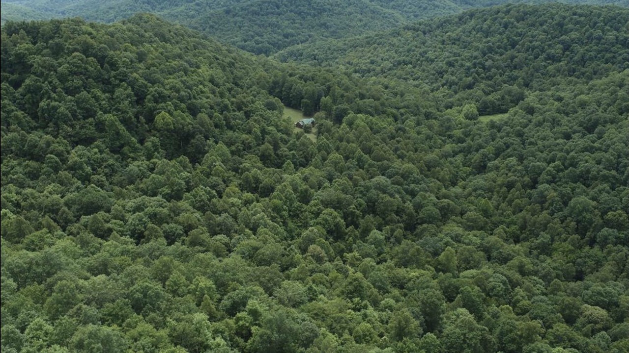 Photo of Outdoor in Left Hand
