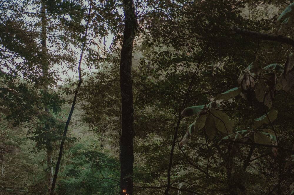 Photo of Outdoor in Rogers