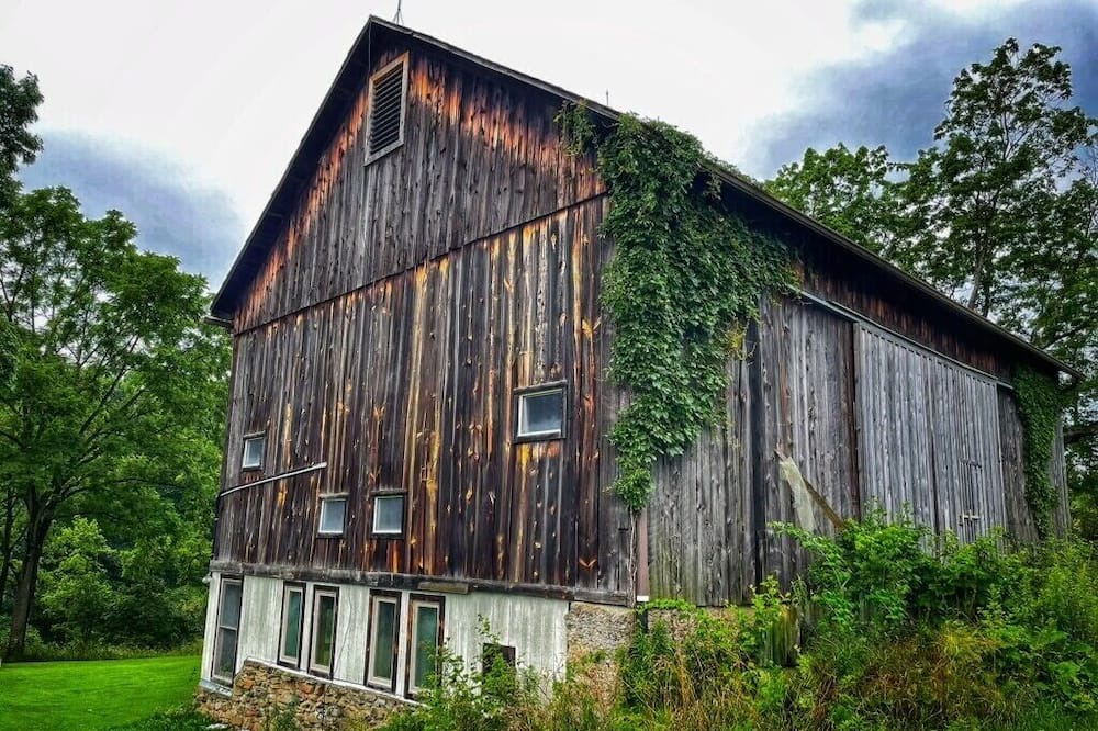 Photo of Outdoor in Bairdford
