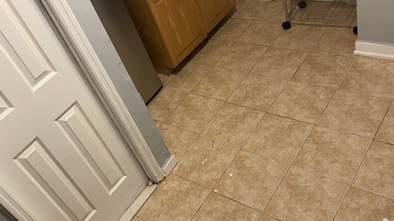 Photo of Kitchen in Baychester