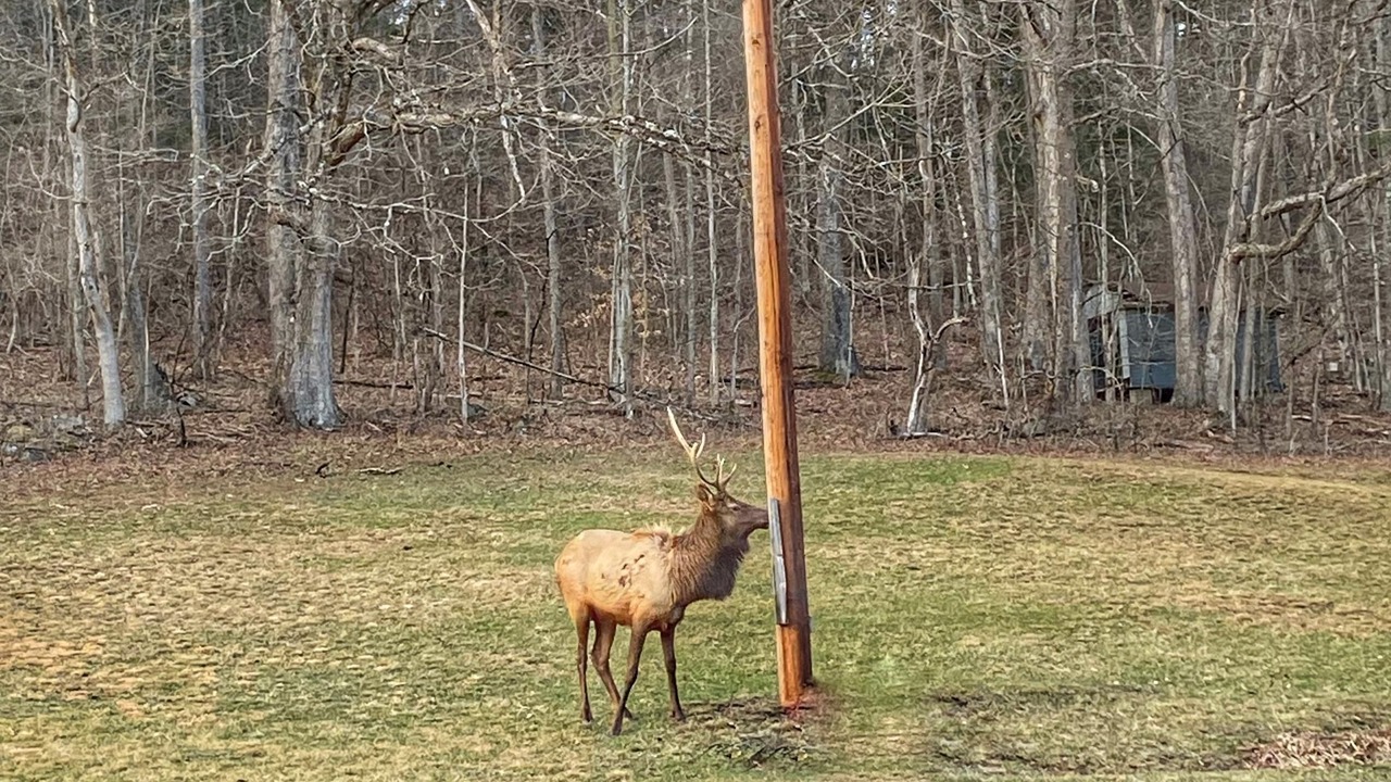 Photo of Outdoor in Weedville